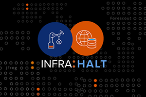 INFRA:HALT 14 New Security Vulnerabilities Found in NicheStack